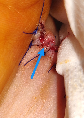 IMG_20200820_150346__01