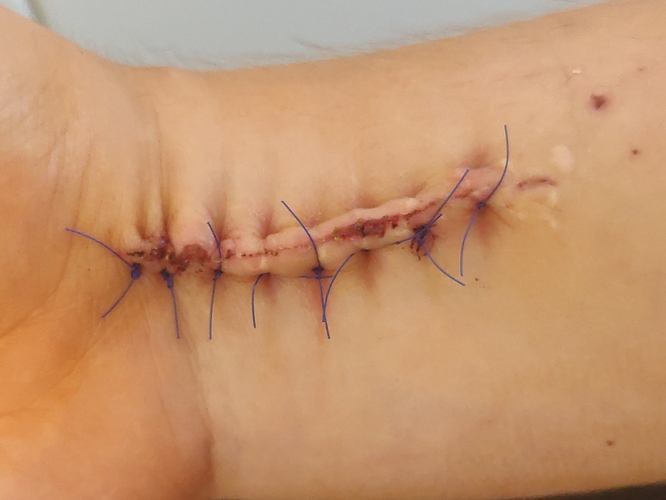 15981927349415165933995259200604