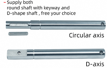 Motor shaft flipshit