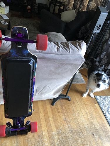 E54C500F-EA31-4038-846E-711E7D5AF991