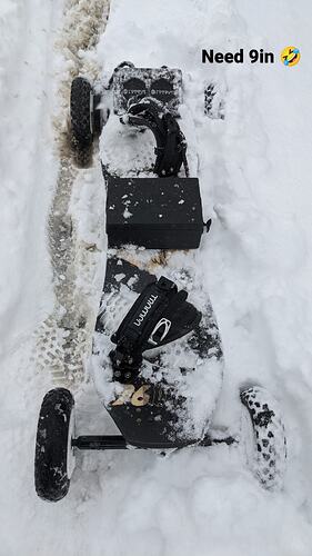 IMG_20210213_093317_812