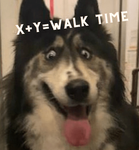 x+y=walk time