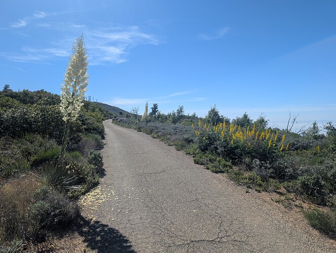 PXL_20250522_165933047