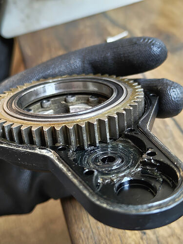 IMG_20260318_104256360