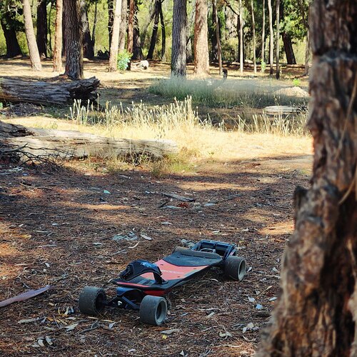 photo_5_2026-02-03_16-21-24