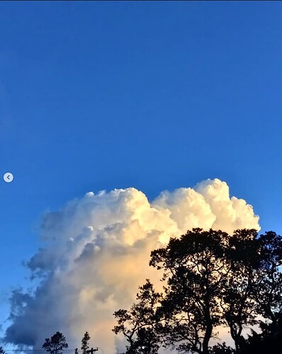 Screenshot 2023-06-08 103805