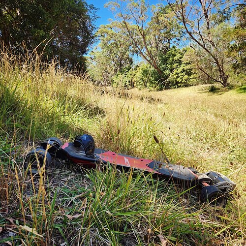 photo_3_2026-02-03_16-21-24