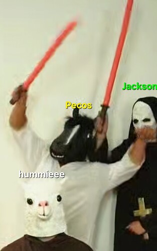 Meme (1)