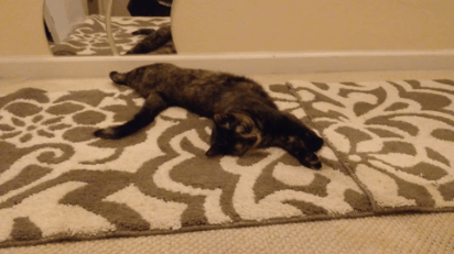 5ff16ee4-6d39-4803-84d8-ae27395afb26