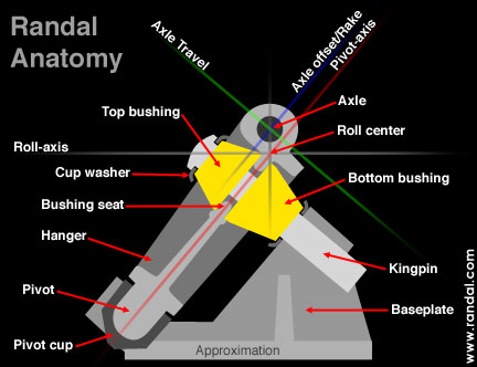 randalanatomy.b