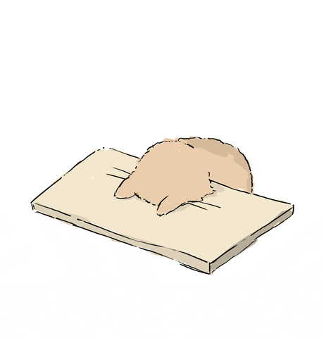 giphy (1)
