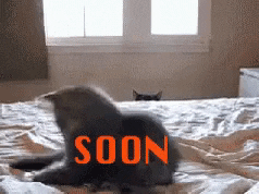 Soon GIFs - Get the best GIF on GIPHY