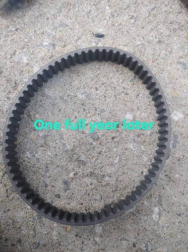 received_1462954847246785