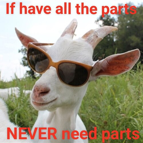 USER_SCOPED_TEMP_DATA_orca-image--1250217867