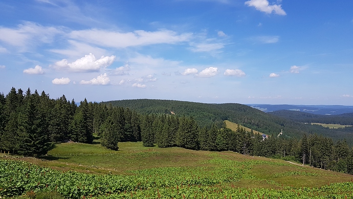 20190717_153433