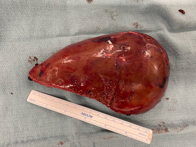 173690555_10218896274374904_5301780976578783981_n