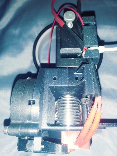 20200308_204135_Film3_copy_600x800