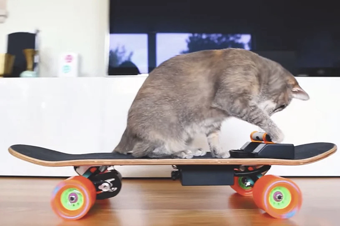ElectricSkateboardforCat