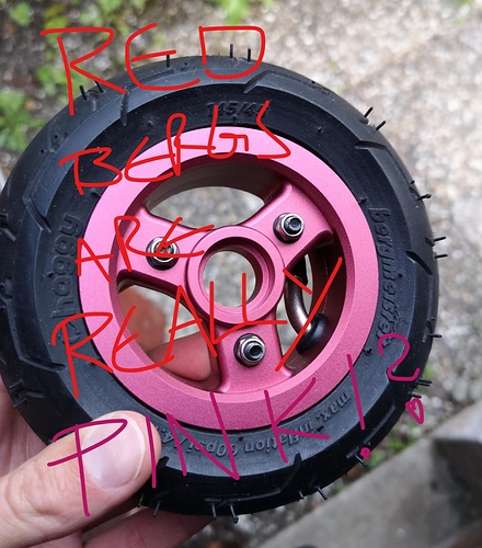 bergspink