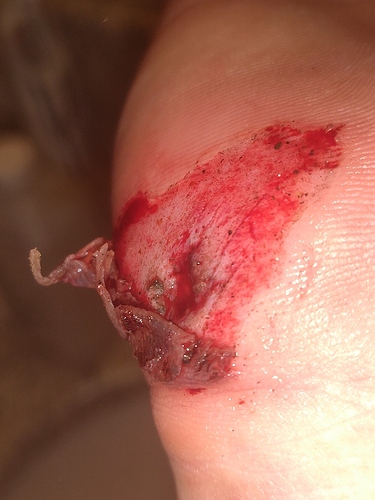 33923750d1606b9e3ed9753661a5ab5c62b67913_2_750x1000