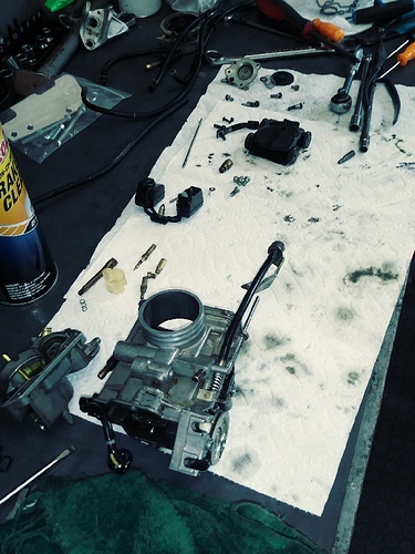 20200203_134713_Film3_copy_600x800