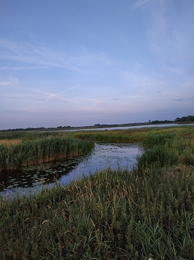 ride_20190804_203920