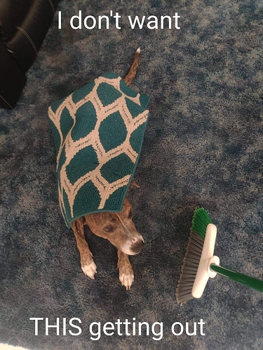 received_2426897750940537