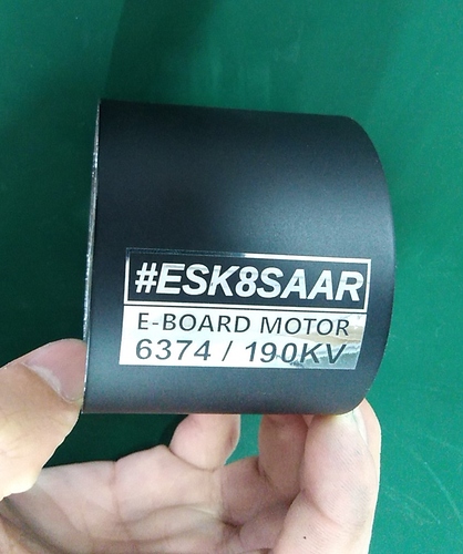 Esk8Saar Motor