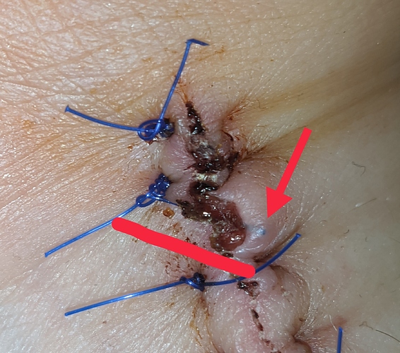 IMG_20200825_211038__02