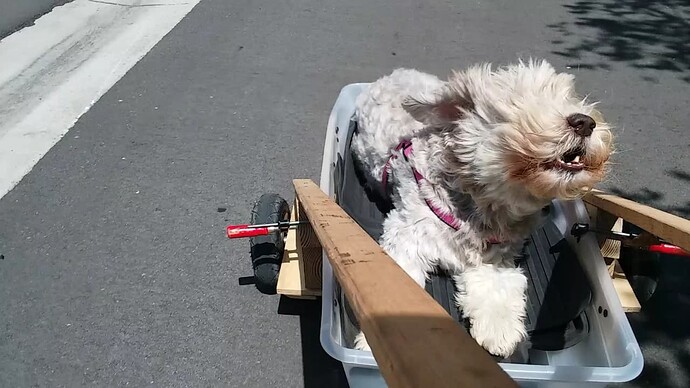 Screenshot_20240326-131410