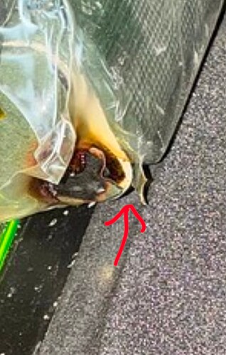 Screenshot_20251016_214837_Chrome