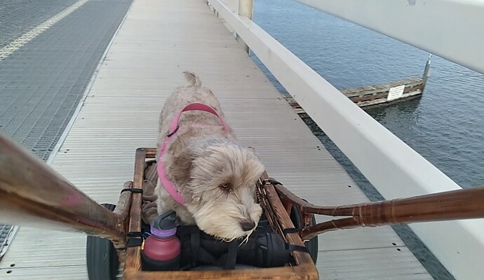 Screenshot_20250926-230857_Video Player