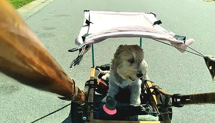 Screenshot_20260309-122723_Video Player