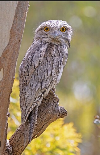 XRecorder_Edited_20251108_01