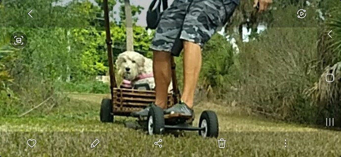 Screenshot_20260124-130427_Gallery