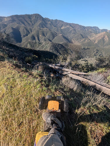 PXL_20260124_173900550