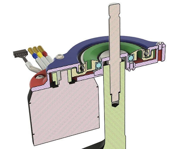 IMG_20251119_081247_851