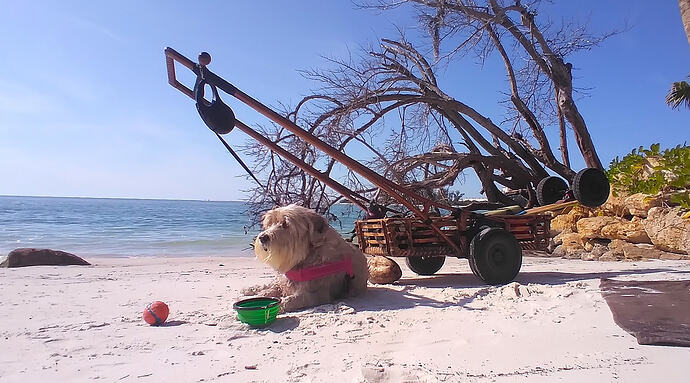 20251204_124523 copy