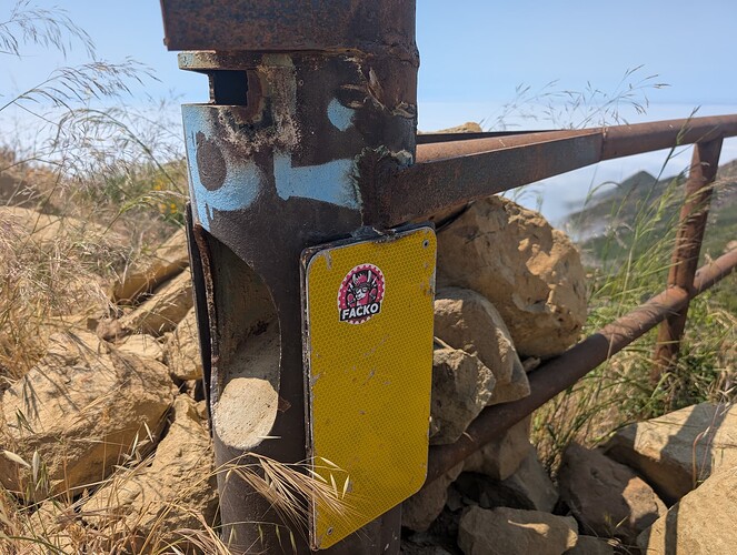 PXL_20250603_181920429.MP