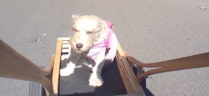 Screenshot_20250415-220520_Video Player