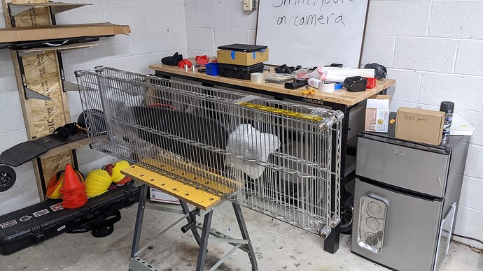 PXL_20220203_203137777