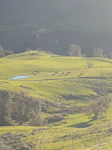 PXL_20260110_160758027