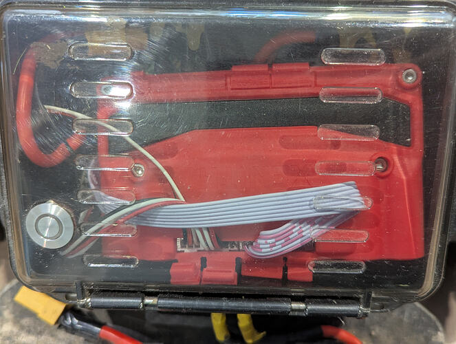 PXL_20250111_125458951