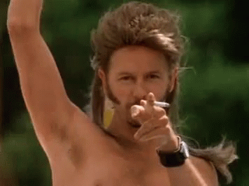 joe dirt