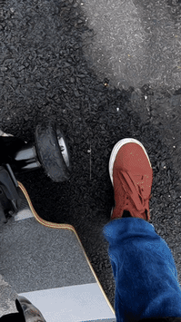 Animated GIF-downsized_large