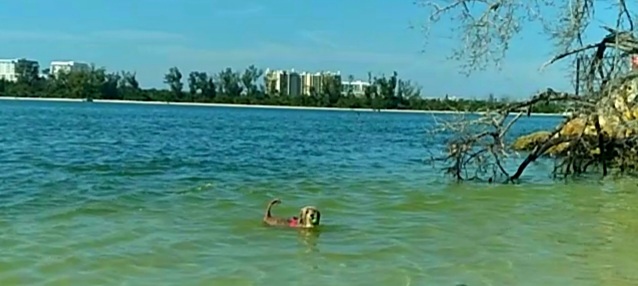 Screenshot_20251121-131655_Video Player