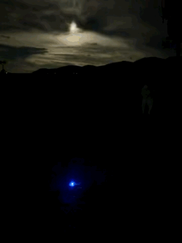 Videoshop_2024-03-24_21-29-13-756