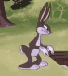 big-chungus