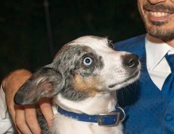 Screenshot_20220917-130806_Chrome