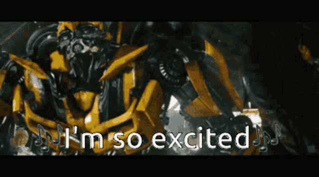 bumblee-bee-im-so-excited